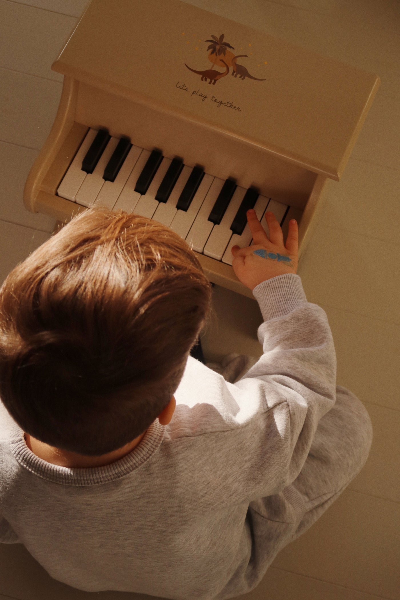 Piano FSC Dino (KS102076)