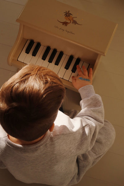 Piano FSC Dino (KS102076)